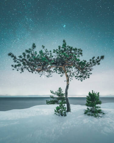 Mikko Lagerstedt's images for Nikon magazine 